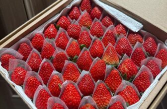 [🆕🇻🇳] Vườn Dâu Nhà Mớm – Based in Saigon 🍔 Top1Food  🍜 Dâu Nhật sky vừa đỏ vừa ngọt vừa mọng nhà Mớm về hàng nhen
Size VIP 25 trái: #250k/ hộp 500gr
Dâu Nhật sky size vừa 49 trái: #180k giảm còn #170k/ hộp
Dâu , shares-0✔️ , likes-2❤️️ , date-2024-12-22 14:36:17🇻🇳🇻🇳🇻🇳📰🆕