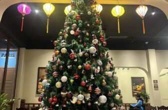 [☕️🇻🇳] AHA Cafe 🥤 Top1Coffee ☕️ **MERRY CHRISTMAS 2024**Chúc bạn và gia đình có một mùa Giáng Sinh ấm áp, an lành và tràn đầy hạnh phúc. Hãy đến với AHA Cafe  , shares-1✔️ , likes-15❤️️ , date-2024-12-24 17:33:22🇻🇳🇻🇳🇻🇳📰🆕