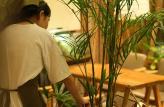 [☕️🇻🇳] 15.22 café – wine – live music 🥤 Top1Coffee ☕️ Làm gì cũng được, miễn thấy giây phút làm việc đó mình cảm thấy hạnh phúc, sau khi làm việc đó mình cảm thấy tự hào, rồi mỗi ngà , shares-0✔️ , likes-13❤️️ , date-2024-12-24 18:13:18🇻🇳🇻🇳🇻🇳📰🆕