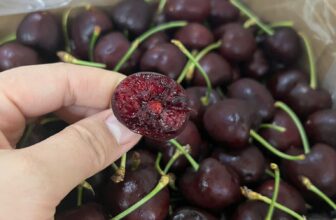 [🆕🇻🇳] TH Fruit – Chuyên Trái Cây Nhập Khẩu Cao Cấp 🍔 Top1Food  🍜 (𝐇𝐎𝐓) 𝐂𝐇𝐄𝐑𝐑𝐘 𝐔́𝐂 – 𝐂𝐡𝐮𝐚̂̉𝐧 𝐡𝐚̀𝐧𝐠 𝐀𝐢𝐫 𝐯𝐮̛̀𝐚 đ𝐚́𝐩 – Đ𝐚̆̉𝐧𝐠 𝐂𝐚̂́𝐩 𝐃𝐚̂𝐧 𝐒𝐚̀𝐧𝐡 𝐀̆𝐧CAM KẾT NỔI BẬT
Là lô Cherry đầu mùa đầu tiên cập cảng Việt Nam
Vận chuyển , shares-0✔️ , likes-0❤️️ , date-2024-12-24 20:49:48🇻🇳🇻🇳🇻🇳📰🆕