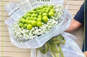 [🆕🇻🇳] Di Fresh Fruits – Cửa hàng trái cây nhập khẩu tươi sạch 🍔 Top1Food  🍜 KHÁCH ƯNG MẪU NÀY KHÔNG Ạ – BÓ NHO XANH MƯỚT MIX BABY TRẮNG TINH KHÔIIn thiệp miễn phí
Trái cây chất lượng theo mùa, nhập mới hàng ngày
Xuất VAT cho doan , shares-2✔️ , likes-3❤️️ , date-2024-12-26 16:24:51🇻🇳🇻🇳🇻🇳📰🆕