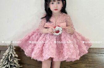 [🆕🇻🇳] BinBon Baby – Váy đầm công chúa thiết kế cho bé 🧑‍🧒❤️️👶⭐️  Công chúa nhỏ xinh.
, shares-0✔️ , likes-3❤️️ , date-2024-12-27 21:33:10🇻🇳🇻🇳🇻🇳📰🆕