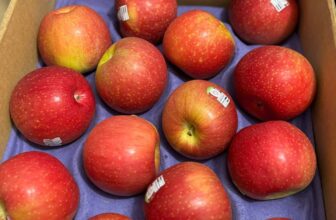 [🆕🇻🇳] Chio shop – Cửa hàng rau quả 🍔 Top1Food  🍜 Táo mật Mỹ Ever Crisp giá siêu tốt hôm nay (25.12) – duy nhất 1 ngày nha!Giòn rụm, ngọt lịm, tươi rói, ngon xuất sắc!80k/kg (mua kèm món)
100k/kg (chỉ  , shares-0✔️ , likes-0❤️️ , date-2024-12-25 19:47:49🇻🇳🇻🇳🇻🇳📰🆕