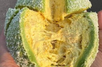 [🆕🇻🇳] Bánh Mì Phô Mai Giá Sĩ 🍔 Top1Food  🍜  𝐒𝐀𝐋𝐄 𝐂𝐔Ố𝐈 𝐍Ă𝐌
𝐌𝐔𝐀 𝐋Ẻ 𝐕Ớ𝐈 𝐆𝐈Á 𝐒Ĩ 𝐂𝐑𝐄𝐏𝐄 𝐒Ầ𝐔 𝐀𝐔𝐓𝐇 𝐍𝐇𝐈Ề𝐔 𝐒Ầ𝐔 𝐂𝐇Ỉ #100𝐊 𝐯à 𝐦𝐞𝐧𝐮 𝐡ơ𝐧 𝟑𝟎 𝐥𝐨ạ𝐢 𝐛á𝐧𝐡
𝘾𝙤𝙢𝙗𝙤 #150k :
– 𝘾𝙧𝙚𝙥𝙚 𝙨ầ𝙪 𝙧𝙞ê𝙣𝙜 𝙖𝙪𝙩𝙝 ổ 14 , shares-1✔️ , likes-18❤️️ , date-2024-12-25 04:38:58🇻🇳🇻🇳🇻🇳📰🆕