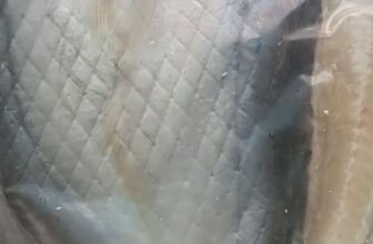 [🆕🇻🇳] Đặc Sản Vùng Quê – Thực phẩm & Đồ uống 🍔 Top1Food  🍜 Dứa biển xịn 1N hàng bao trắng đẹp, dùng làm quà tặng biếu dùng vip ạ
Zalo sỉ 0908299155 giá tốt nhất
, shares-0✔️ , likes-4❤️️ , date-2024-12-23 20:18:25🇻🇳🇻🇳🇻🇳📰🆕