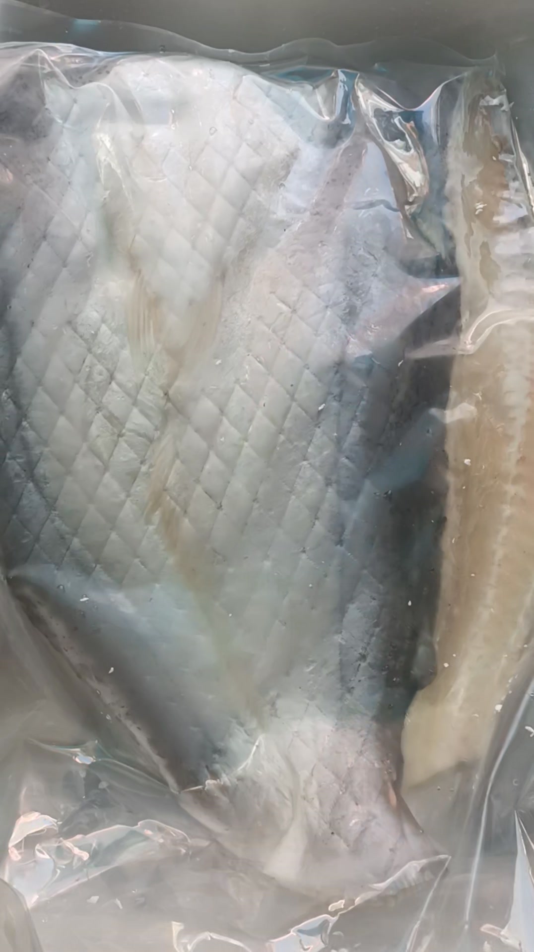 [🆕🇻🇳] Đặc Sản Vùng Quê – Thực phẩm & Đồ uống 🍔 Top1Food  🍜 Dứa biển xịn 1N hàng bao trắng đẹp, dùng làm quà tặng biếu dùng vip ạ
Zalo sỉ 0908299155 giá tốt nhất
 , shares-0✔️ , likes-4❤️️ , date-2024-12-23 20:18:25🇻🇳🇻🇳🇻🇳📰🆕