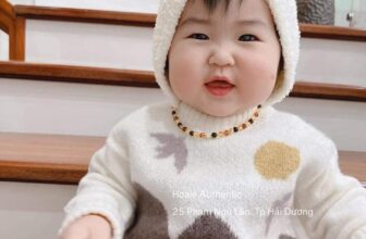 [🆕🇻🇳]  Hoale Authentic 0366290918  (Hoale Authentic)  🧑‍🧒❤️️👶⭐️ Áo len baby size 4-6m, 6-9m, 9-12m
380k
, shares-0✔️ , likes-0❤️️ , date-2024-12-26 18:34:46🇻🇳🇻🇳🇻🇳📰🆕