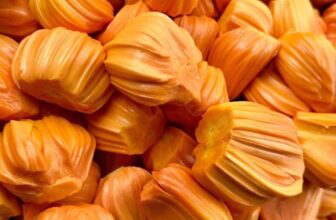 [🆕🇻🇳] THUỶ THUỶ FOOD – Trái Cây Sạch / Đặc Sản Đà Lạt 🍔 Top1Food  🍜  𝐌𝐈́𝐓 𝐑𝐔𝐎̣̂𝐓 Đ𝐎̉ 𝐈𝐍𝐃𝐎 – hàng cắt già, chín cây, ko ngon ko lấy xiền, loại mít đắt xắt ra miếng đây ạ. Ngọt thơm xĩu . Hàng hiếm mùa này nha
Hàng lột sẵn  , shares-0✔️ , likes-0❤️️ , date-2024-12-24 17:50:42🇻🇳🇻🇳🇻🇳📰🆕