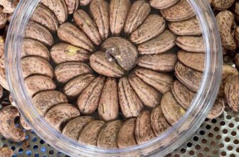 [🆕🇻🇳] Hoa Quả 4Mùa – Cửa hàng rau quả 🍔 Top1Food  🍜  , shares-0✔️ , likes-0❤️️ , date-2024-12-26 16:57:32🇻🇳🇻🇳🇻🇳📰🆕