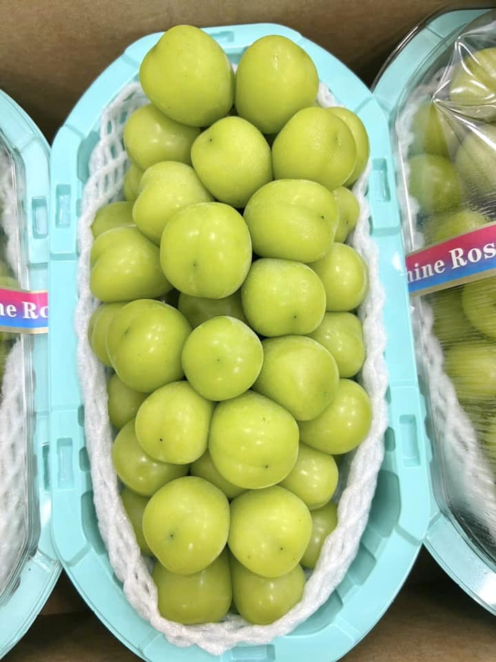 [🆕🇻🇳] Green World Fruit – Thế giới trái cây sạch 🍔 Top1Food  🍜  MẪU ĐƠN ĐÀI HỘP VIP CHUYẾN EM VỪA VỀ SẴN HÀNG – CHÙM BẮP TRÁI TO CHÙM ĐẦY TRÁI
CUỐNG CÀNH XANH TƯƠI Ạ
#299K/ HỘP ~ 1.5-1.6KG to khủng
Ngọt thơm nhon cực k , shares-0✔️ , likes-2❤️️ , date-2024-12-27 18:46:41🇻🇳🇻🇳🇻🇳📰🆕