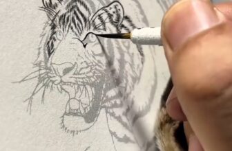 [???] Trạm Vẽ painting – Sunny art ? Top1Designs ✨  Cách cắt tỉa hoa quả tạo hình bông sen
, shares-0✔️ , likes-30❤️️ , date-2024-12-30 18:01:06????????