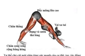 [🆕🇻🇳] Yoga Thực Dưỡng 🧘 Top1Yoga 🤸🏻‍♀️  7 tư thế Yoga lấy lại VÒNG EO CON KIẾNVòng eo là nơi rất dễ tích mỡ, lại là nơi khó tiêu mỡ nhất. Vì vậy, để có một vòng eo lý tưởng, các bạn cần tập l , shares-0✔️ , likes-1❤️️ , date-2024-12-25 15:00:31🇻🇳🇻🇳🇻🇳📰🆕