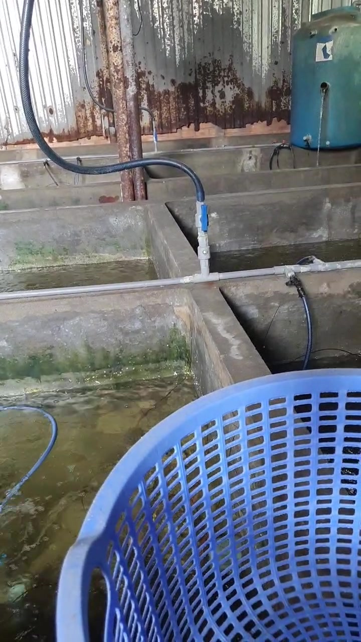 [???] Ching’s closet ? Top1Fashion ?  𝐑𝐄𝐓𝐀𝐈𝐋 𝐒𝐈𝐙𝐄 𝐒𝐀𝐋𝐄 I ĐỒNG GIÁ 369K
Cực sốc giảm trên 70% cho nhưng items cực hot nhất của nhà CHING’S – ĐỒNG GIÁ CHỈ CÒN 369k.
Số lượng giới hạn nàng nhanh , shares-3✔️ , likes-25❤️️ , date-2024-12-26 17:14:27????????