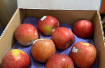 [🆕🇻🇳] Chio shop – Cửa hàng rau quả 🍔 Top1Food  🍜 Siêu phẩm táo mật Ever Crisp đỏ đẹp, giòn rụm, ngọt lịm130k/kg
, shares-0✔️ , likes-0❤️️ , date-2024-12-27 22:12:28🇻🇳🇻🇳🇻🇳📰🆕