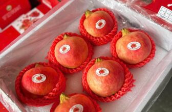 [🆕🇻🇳] Hoa Quả 4Mùa – Cửa hàng rau quả 🍔 Top1Food  🍜 #Traicay nhà e hôm nay sẵn nhiều mã cho cả nhà ạ
Nho mẫu đơn VIP #195k/hộp
Snack Nấm healthy #119k/ bịch
Kim quất đài loan #95k/ hộp
Lựu thái size VIP # , shares-0✔️ , likes-0❤️️ , date-2024-12-27 17:21:50🇻🇳🇻🇳🇻🇳📰🆕