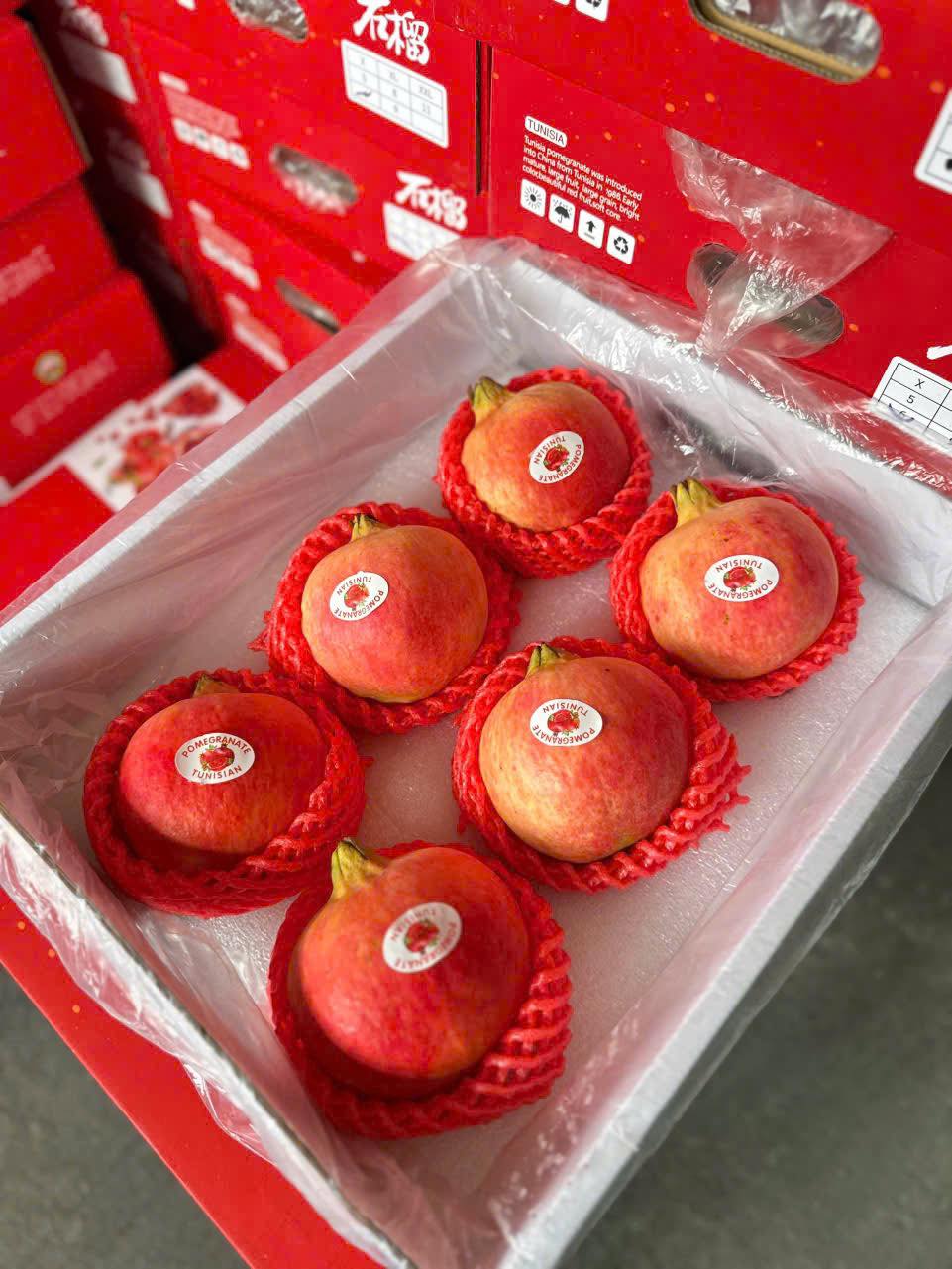 [🆕🇻🇳] Hoa Quả 4Mùa – Cửa hàng rau quả 🍔 Top1Food  🍜 #Traicay nhà e hôm nay sẵn nhiều mã cho cả nhà ạ
Nho mẫu đơn VIP #195k/hộp 
Snack Nấm healthy #119k/ bịch 
Kim quất đài loan #95k/ hộp 
Lựu thái size VIP # , shares-0✔️ , likes-0❤️️ , date-2024-12-27 17:21:50🇻🇳🇻🇳🇻🇳📰🆕