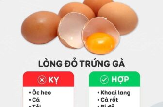 [🆕🇻🇳] Thanh Nguyễn – Shop mẹ Bắp – CHUYÊN THỰC PHẨM ĂN DẶM HỮU CƠ- ĐỒ DÙNG ĂN DẶM KÈM THỰC ĐƠN 🧑‍🧒❤️️👶⭐️ Những thực phẩm kỵ nhau mẹ lưu ý tránh kết hợp khi chế biến đồ ăn dặm cho con nhé .St
, shares-12✔️ , likes-3❤️️ , date-2024-12-29 04:47:12🇻🇳🇻🇳🇻🇳📰🆕