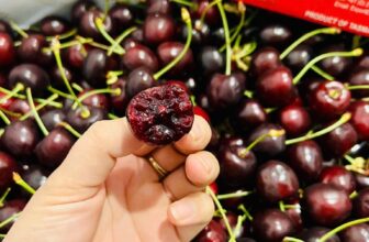 [🆕🇻🇳] TH Fruit – Chuyên Trái Cây Nhập Khẩu Cao Cấp 🍔 Top1Food  🍜 (𝐇𝐎𝐓) 𝐂𝐇𝐄𝐑𝐑𝐘 𝐔́𝐂 𝐯𝐮̛̀𝐚 đ𝐚́𝐩 – 𝐂𝐡𝐮𝐚̂̉𝐧 𝐡𝐚̀𝐧𝐠 𝐀𝐢𝐫 – Giá tốt nhất thị trường. Miễn phí ship, được kiểm tra hàng
Chỉ từ: 𝟐𝟒𝟓𝐤/0,5kg  Số lượng có hạn, mua ngay , shares-0✔️ , likes-8❤️️ , date-2024-12-27 19:05:41🇻🇳🇻🇳🇻🇳📰🆕