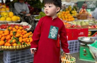 [🆕🇻🇳]  LUV MICHI – Thời trang trẻ em cao cấp 🧑‍🧒❤️️👶⭐️ 1 mẫu nhung siêu siêu đẹp nha các mẹ ơi, ở ngoài xinh lắm luôn ạ, shares-0✔️ , likes-1❤️️ , date-2024-12-27 20:09:09🇻🇳🇻🇳🇻🇳📰🆕