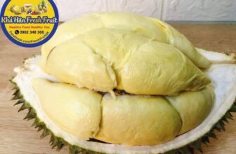 [🆕🇻🇳] Khả Hân Fresh Fruit – Sầu Riêng 6 Hữu 🍔 Top1Food  🍜 hôm nay nhà Hân có các loại sầu riêng ngon như sau , e mời khách lên đơn dùng lễ Noel với gia đình ạ
Musang King , Chuồng Bò , Thái Monthong , Ri6Lưu ý , shares-0✔️ , likes-2❤️️ , date-2024-12-24 16:59:45🇻🇳🇻🇳🇻🇳📰🆕