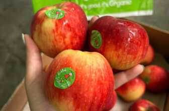 [🆕🇻🇳] F5 Fruit Shop Hồ Chí Minh-hệ thống bán lẻ Trái cây Nhập khẩu cao cấp 🍔 Top1Food  🍜 𝐓𝐀́𝐎 𝐉𝐔𝐋𝐈𝐄𝐓 𝐏𝐇𝐀́𝐏 𝐅𝟓 𝐋𝐀̣𝐈 𝐕𝐄̂̀ 𝐇𝐀̀𝐍𝐆
– 𝐆𝐢𝐚́ 𝐒𝐡𝐨𝐜𝐤 𝐊𝐢̣𝐜𝐡 𝐓𝐫𝐚̂̀𝐧 𝟗𝟎𝐊 / 𝐭𝐮́𝐢 𝟓 𝐭𝐫𝐚́𝐢
Chúng tớ gửi đến các tín đồ trái cây nhập khẩu mẫu túi 5 trái táo Julie , shares-1✔️ , likes-2❤️️ , date-2024-12-27 18:25:29🇻🇳🇻🇳🇻🇳📰🆕