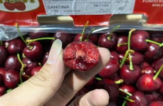 [🆕🇻🇳] Siêu Thị Hàng Tiêu Dùng – Bếp hương béo 🍔 Top1Food  🍜 Cherry chile JD 10p nữa hàng về tới khoRy cứng đanh tươi rói ngọt giòn lắm ạ#720k thung 2kg5
, shares-0✔️ , likes-0❤️️ , date-2024-12-27 04:06:35🇻🇳🇻🇳🇻🇳📰🆕