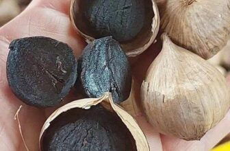 [🆕🇻🇳] LÒ MỨT DỪA – Mứt dừa non 🍔 Top1Food  🍜  Tỏi Đen Cô Đơn Diệp BáchSẵn hàng túi 500grGiá lẻ  125k / 500gSll giảm
Không phải tự nhiên TỎI ĐEN CÔ ĐƠN lại được nhiều người săn lùng bởi những  , shares-0✔️ , likes-2❤️️ , date-2024-12-29 21:51:39🇻🇳🇻🇳🇻🇳📰🆕