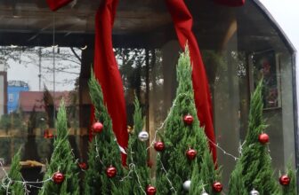 [☕️🇻🇳] ForDeer – Coffee with tree 🥤 Top1Coffee ☕️ Cảm ơn bạn đã luôn đồng hành cùng Fordeer trong mọi sự kiện quan trọng. Chúng mình thật mong bạn sẽ bước qua những ngày cuối thá , shares-0✔️ , likes-9❤️️ , date-2024-12-25 15:44:49🇻🇳🇻🇳🇻🇳📰🆕