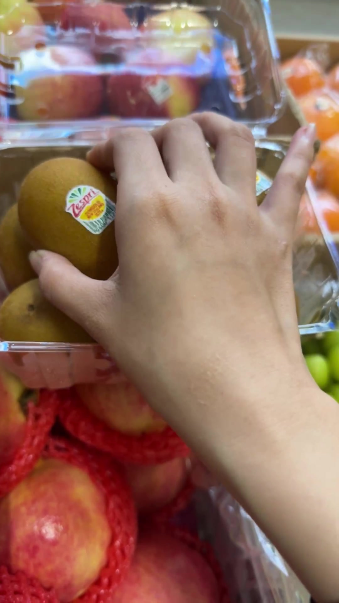 [🆕🇻🇳] Trái Cây Nhập Khẩu Tuy Hoà-Phú An Food 🍔 Top1Food  🍜 Nho mẫu đơn , Cherry chile , Lựu Thái , Kiwi Vàng NewZealand … em vừa cập bến tại 27 Ngô Quyền P5. Tuy Hoà 
Mời cả nhà lên đơnn 
 , shares-0✔️ , likes-1❤️️ , date-2024-12-29 15:26:43🇻🇳🇻🇳🇻🇳📰🆕