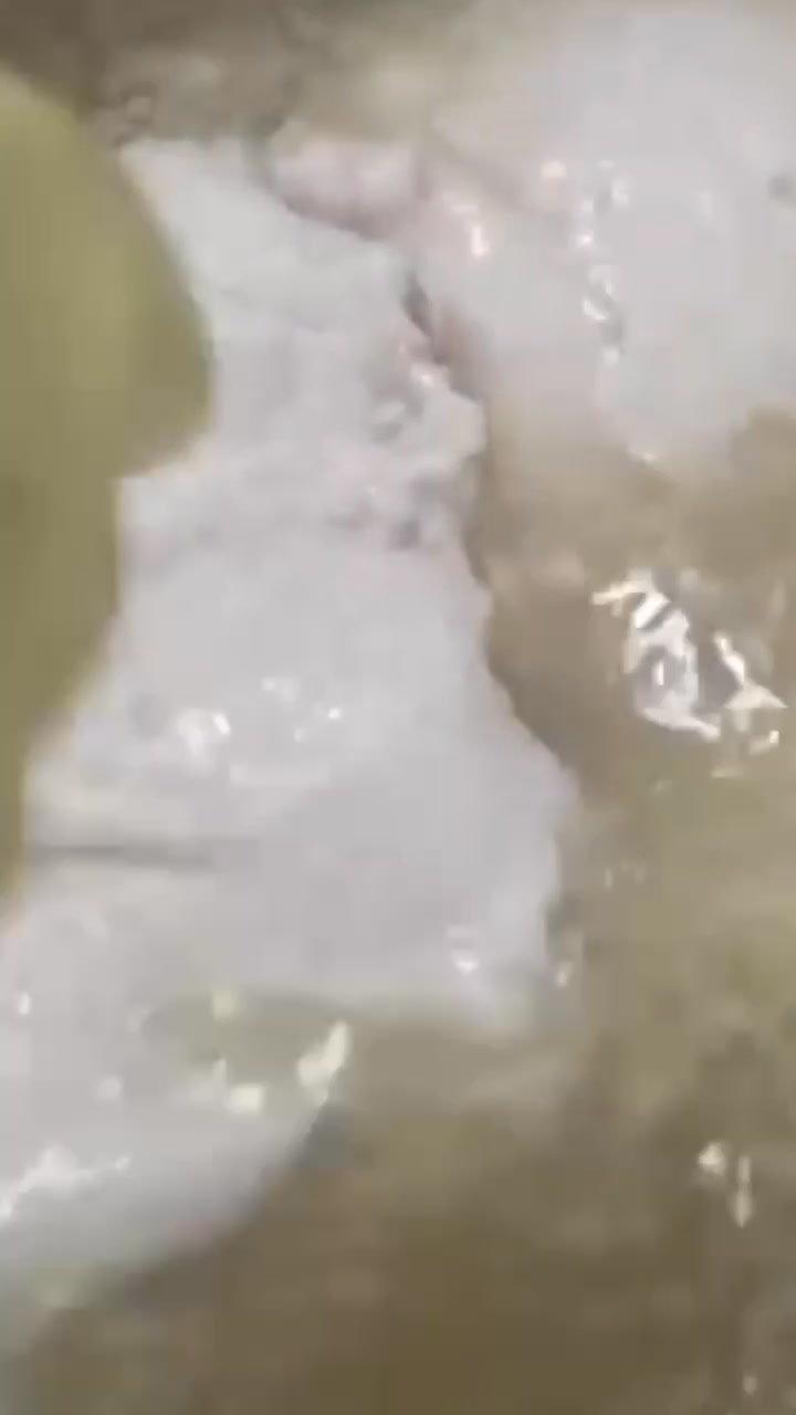 [🆕🇻🇳] Thực phẩm Hà nội Việt Thắng – Trung tâm phân phối thực phẩm đặc sản Miền bắc 🍔 Top1Food  🍜 Đặc sản làng TRIỂU KHÚC HÀ NỘI
 , shares-0✔️ , likes-2❤️️ , date-2024-12-26 21:13:36🇻🇳🇻🇳🇻🇳📰🆕