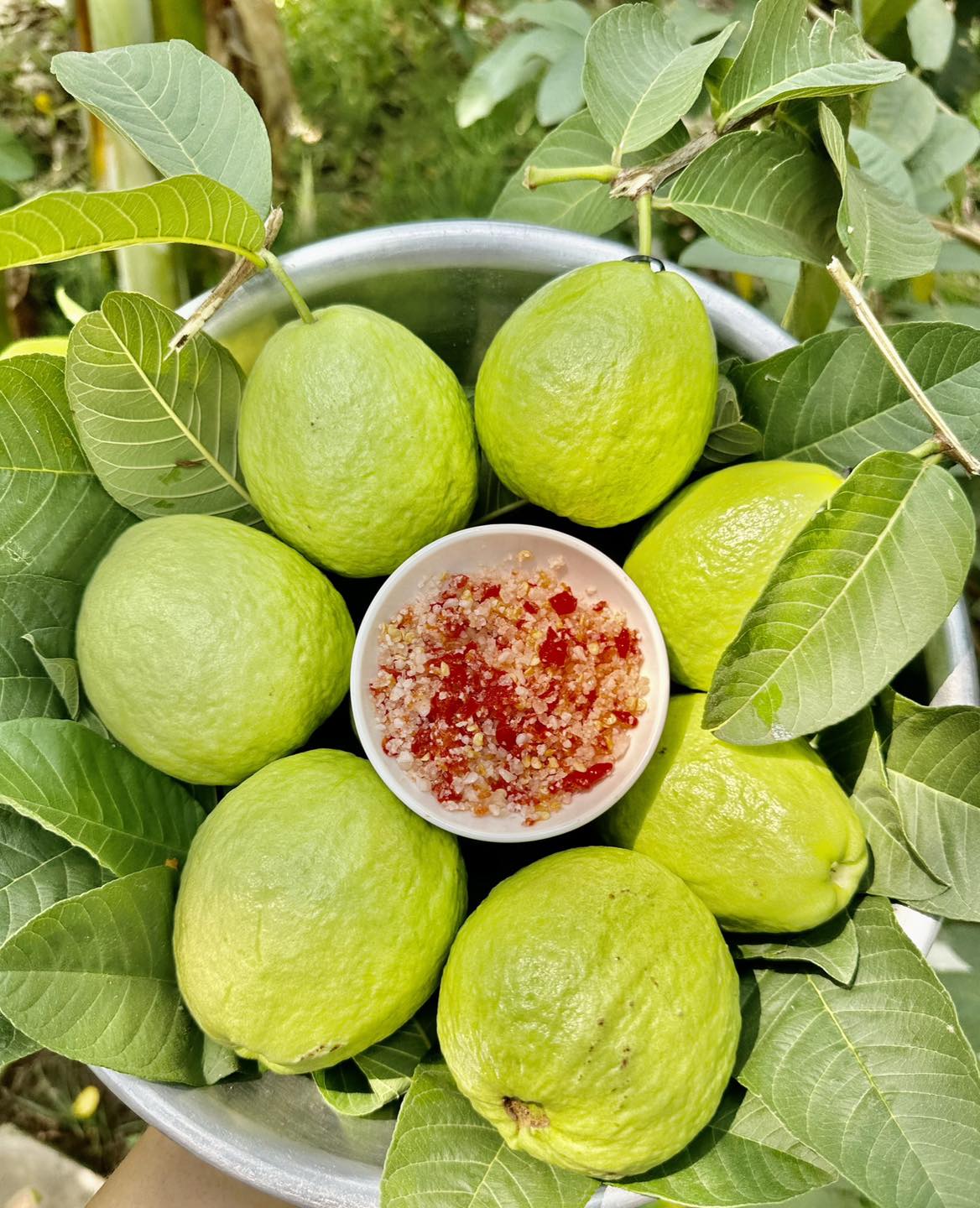 [☕️🇻🇳] Le Petit Cafe’ 🥤 Top1Coffee ☕️ More espresso less depresso———————————
BỌN MÌNH CÓ SHIP TẬN NƠI NHA
available on Grabfood and Vill
L , shares-1✔️ , likes-7❤️️ , date-2024-12-29 20:22:10🇻🇳🇻🇳🇻🇳📰🆕