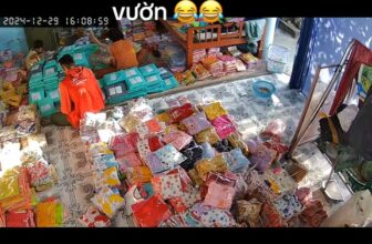 [🆕🇻🇳] Duy khang shop – Shop chuyên mua bán quần áo trẻ em giá rẻ 🧑‍🧒❤️️👶⭐️ Video liên quan
, shares-0✔️ , likes-22❤️️ , date-2024-12-31 03:23:27🇻🇳🇻🇳🇻🇳📰🆕