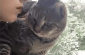 [🆕🇻🇳] Yêu Thú Cưng 🐶🦜 Top1Pets 🐱🐠 49.media.tumblr.com , shares-4✔️ , likes-122❤️️ , date-2016-05-03 22:40:05🐶🐱🇻🇳🇻🇳🇻🇳📰🆕