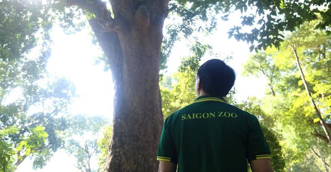 [🆕🇻🇳] P’ti Chou – Thời trang thiết kế dành cho trẻ em 😎❤️️⭐️  , shares-0✔️ , likes-3❤️️ , date-2024-12-29 21:08:07🇻🇳🇻🇳🇻🇳📰🆕