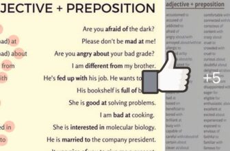 [🆕🇻🇳] English Kids 📚 Top1Learn 📕 Common Adjective & Preposition Combinations! :D
, shares-0✔️ , likes-1❤️️ , date-2024-12-10 05:00:39🇻🇳🇻🇳🇻🇳📰🆕
