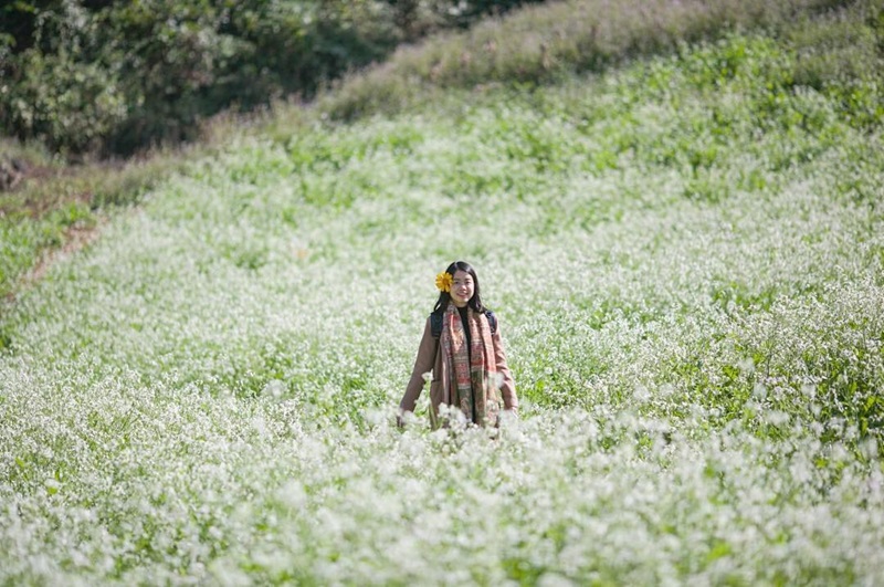 Địa điểm du lịch Mộc Châu. Ở Mộc Châu nên đi đâu chơi?