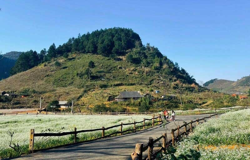Địa điểm du lịch Mộc Châu. Địa điểm du lịch hấp dẫn ở Mộc Châu