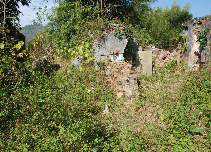 Địa điểm du lịch mộc Châu. Du lịch Mộc Châu nên đi đâu chơi