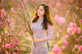 [🆕🇻🇳] Khám phá studio chụp ảnh nghệ thuật Tết Huế năm 2025