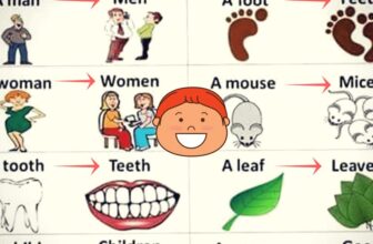 [🆕🇻🇳] English Kids 📚 Top1Learn 📕 Common Irregular Plural Nouns in English
, shares-1✔️ , likes-0❤️️ , date-2025-01-03 05:00:25🇻🇳🇻🇳🇻🇳📰🆕