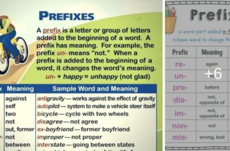 [🆕🇻🇳] English Kids 📚 Top1Learn 📕 A List of 50+ Common Prefixes in English
, shares-0✔️ , likes-0❤️️ , date-2025-01-12 05:00:17🇻🇳🇻🇳🇻🇳📰🆕