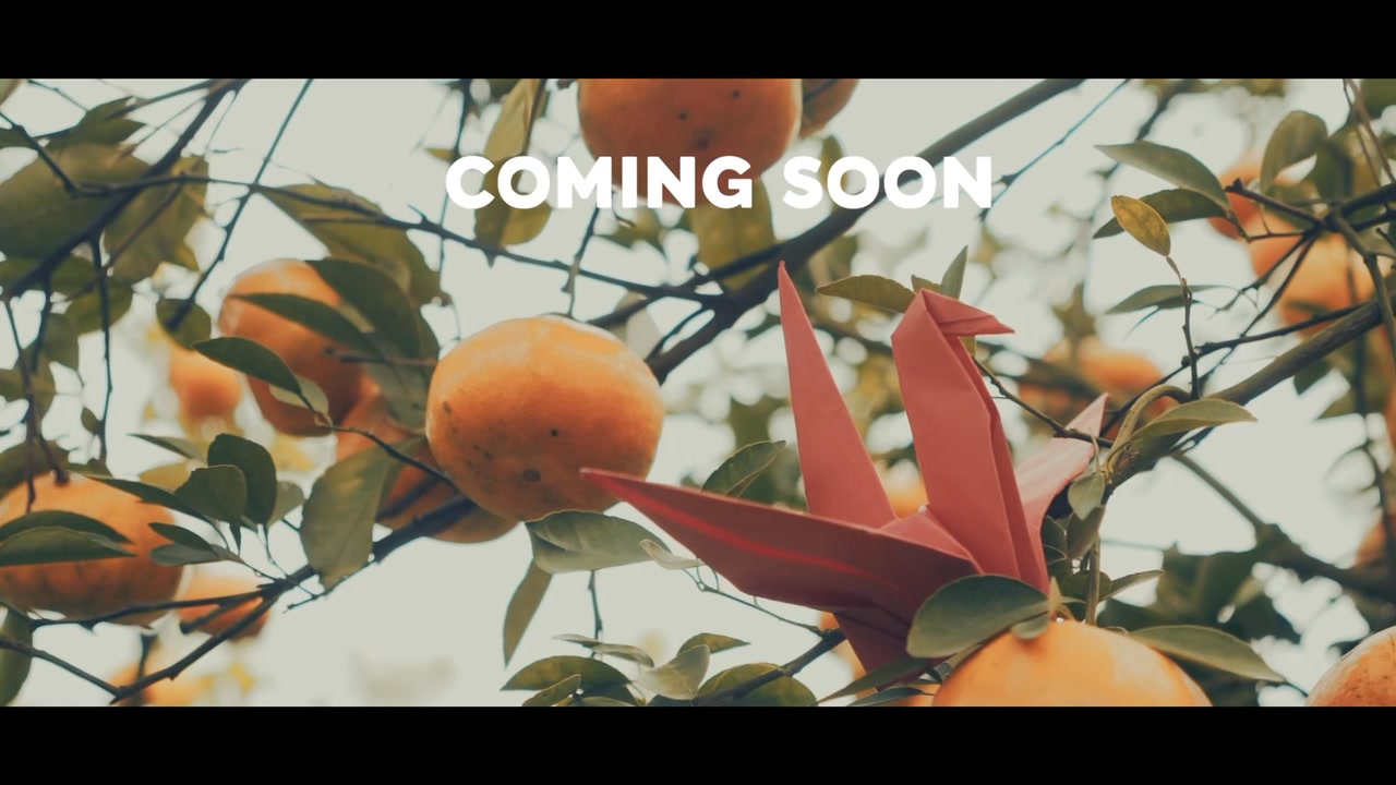 [☕️🇻🇳] Chuk Tea – Coffee 🥤 Top1Coffee ☕️ Hẹn bạn 05.01.2025, cùng Chuk thưởng trà và mong ước năm mới Đủ Đầy#NganMongUocDuDay # #ChukTeaAndCoffee #DamChatHungKhoi #Tr , shares-0✔️ , likes-10❤️️ , date-2025-01-01 21:20:32🇻🇳🇻🇳🇻🇳📰🆕