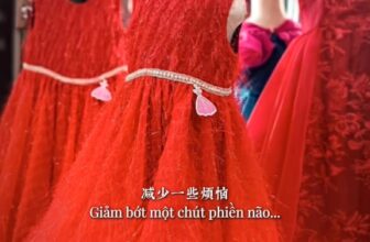 [🆕🇻🇳]  Váy Trẻ Em – Cửa hàng quần áo 🧑‍🧒❤️️👶⭐️  Address: số 46C Phạm Ngọc Thạch, Đống Đa, Hà Nội.
Hotline: 0914074463
#vaytreem #vaycongchua #bongzo #tiemmayvaytreem #vaybongzo #thoitrang #treem #fash , shares-0✔️ , likes-0❤️️ , date-2025-01-01 06:59:14🇻🇳🇻🇳🇻🇳📰🆕