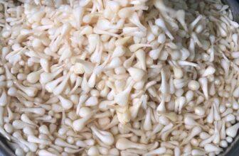 [🆕🇻🇳] LÒ MỨT DỪA – Mứt dừa non 🍔 Top1Food  🍜 Củ Kiệu NgâmKiệu xếp thủ công
Hàng nhà làm ngon lắm nha khách ơi !!!
Được làm bằng kiệu Huế nên rất giòn hoàn toàn được làm bằng đường phèn nguyên , shares-0✔️ , likes-1❤️️ , date-2025-01-02 19:55:03🇻🇳🇻🇳🇻🇳📰🆕