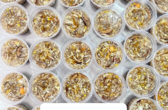 [🆕🇻🇳] Bếp Má 5 Online – Thực phẩm & Đồ uống 🍔 Top1Food  🍜 Súp cua tóc tiên còi sò điệp của Bếp!Tiền nào của đó là đây!#sup #bepma5 #supcua
, shares-0✔️ , likes-4❤️️ , date-2025-01-04 23:04:26🇻🇳🇻🇳🇻🇳📰🆕