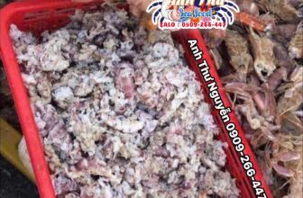 [🆕🇻🇳] ANH THƯ FOOD – Thịt Càng Cua / Thịt Ghẹ -Tôm Tích 🍔 Top1Food  🍜 Tích Vụn / Nõn Bề Bề Vụn
Giá sỉ xx/1kg
Khách Cần Ib Em Nhé . Hàng Mới
Loại Này Dùng Để : Làm Chả Giò / Nem Rán . Súp / Cháo ..vv..vv…
, shares-0✔️ , likes-0❤️️ , date-2025-01-02 21:14:34🇻🇳🇻🇳🇻🇳📰🆕