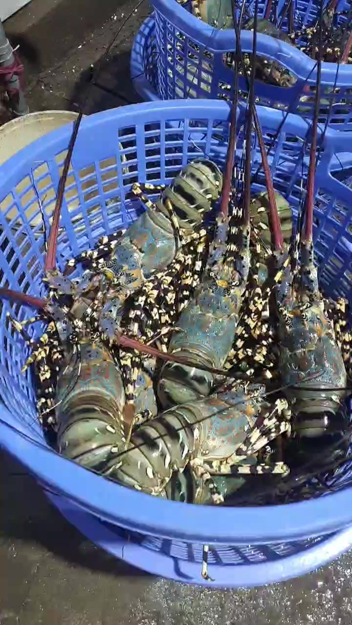 [☕️🇻🇳] MÂY Coffee – Tea  🥤 Top1Coffee ☕️  , shares-0✔️ , likes-7❤️️ , date-2024-12-31 23:31:48🇻🇳🇻🇳🇻🇳📰🆕