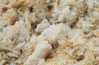 [🆕🇻🇳] LÒ MỨT DỪA – Mứt dừa non 🍔 Top1Food  🍜 Cam kết bánh in dừa non bên e bán chỉ duy nhất 1 lò , 1 lò cực ngon . K ngon e hoàn tiền lạiBÁNH IN NHÂN DỪA NONGiá 75 k/1 hộp  ( 24 cái )Màu , shares-0✔️ , likes-3❤️️ , date-2025-01-08 05:46:53🇻🇳🇻🇳🇻🇳📰🆕