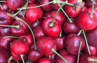 [🆕🇻🇳] Chio shop – Cửa hàng rau quả 🍔 Top1Food  🍜 Cherry Gấu siêu ngon giá siêu tốt hôm nay (chỉ áp dụng ngày 2.1)
– size 2J (tương đương size 28-30 )
– Cứng giòn rụm rụm, cuống tươi xanh280k/kg (mua kè , shares-0✔️ , likes-2❤️️ , date-2025-01-02 16:08:48🇻🇳🇻🇳🇻🇳📰🆕