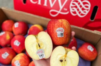 [🆕🇻🇳] Vườn Dâu Nhà Mớm – Based in Saigon 🍔 Top1Food  🍜 TÁO ENVY MỸ SIZE 88 VIP VỪA VỀ
190K/ Hộp 5 trái 1KgPhải nói đỉnh của chóp
Tươi ngon – giòn rụm ngọt đậm vị – thơm đặc thù của dòng được mệnh danh là v , shares-0✔️ , likes-0❤️️ , date-2025-01-05 21:37:09🇻🇳🇻🇳🇻🇳📰🆕